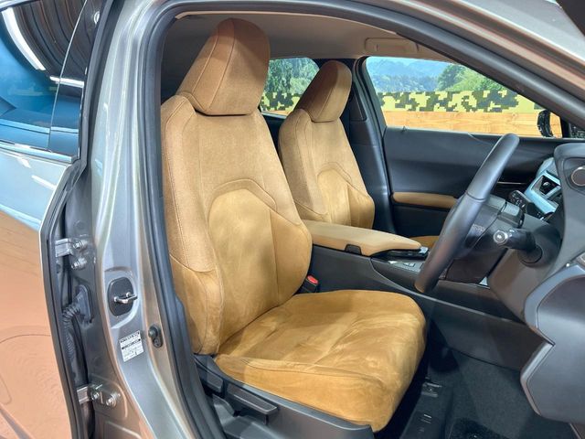Lexus UX 10