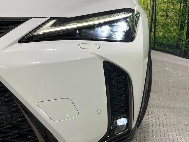 Lexus UX 12