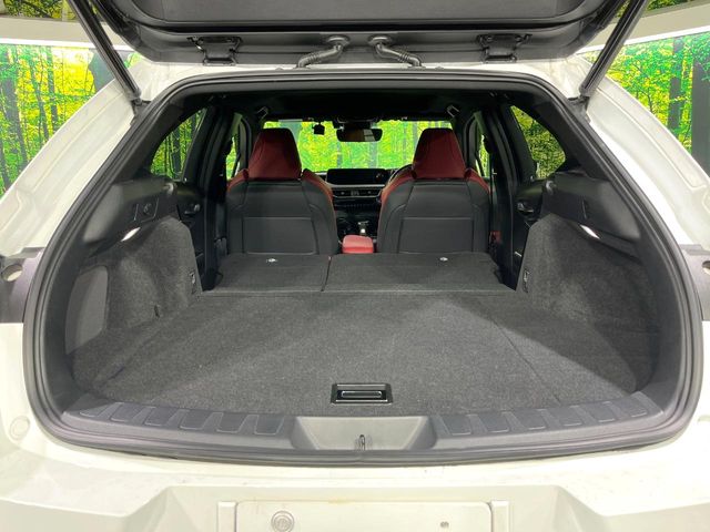 Lexus UX 10