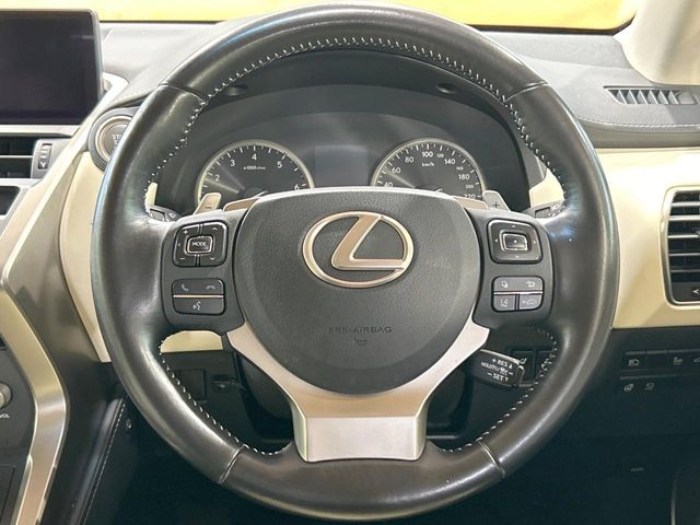 Lexus NX 11