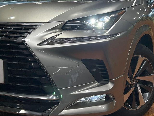 Lexus NX 12