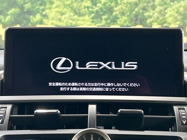 Lexus NX 4