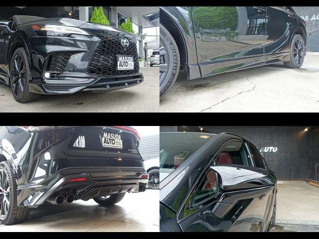 Lexus RX 11