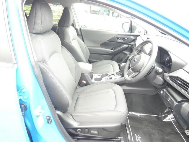 Subaru Crosstrek 11