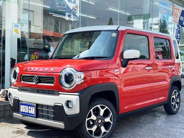Suzuki Hustler 6