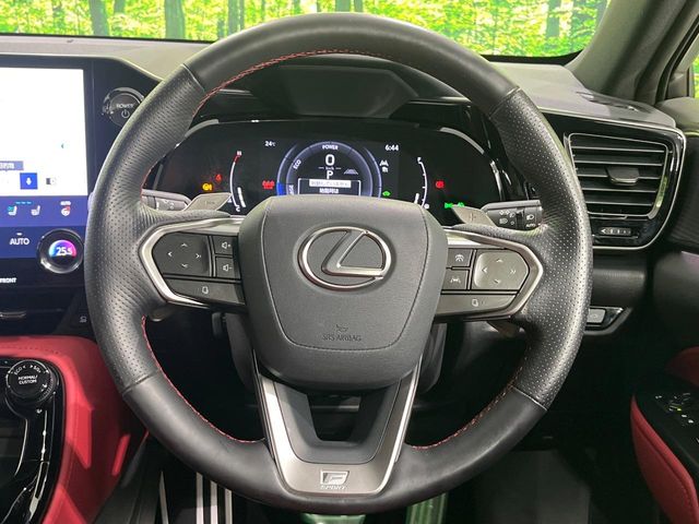 Lexus NX 12