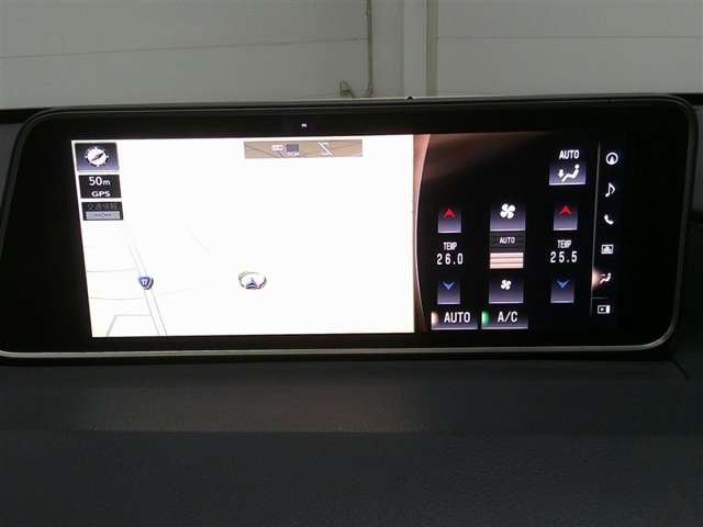 Lexus RX 12