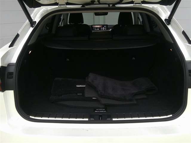 Lexus RX 6