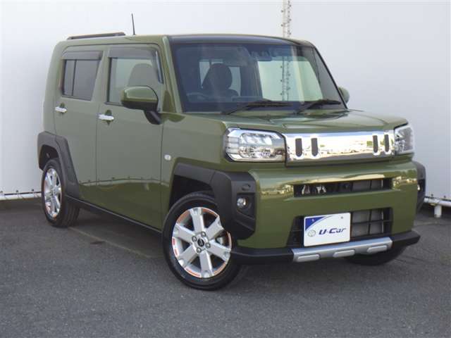 Daihatsu Taft 6