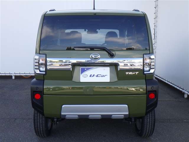 Daihatsu Taft 8