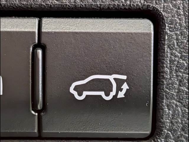 Lexus NX 12