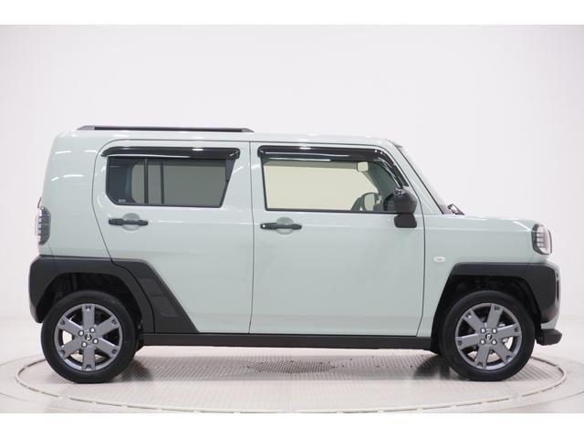 Daihatsu Taft 6