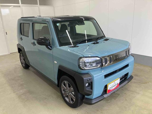 Daihatsu Taft 6