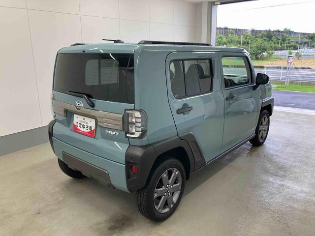 Daihatsu Taft 8