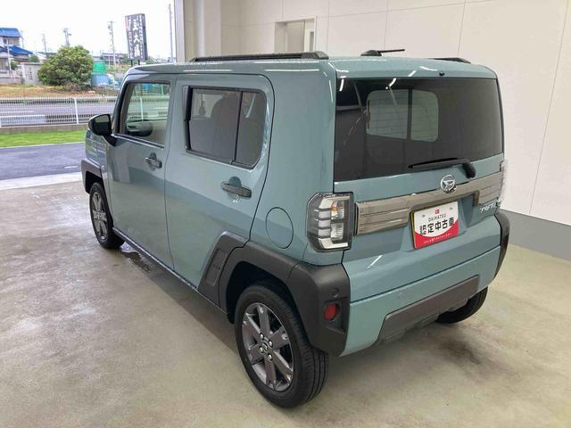 Daihatsu Taft 9