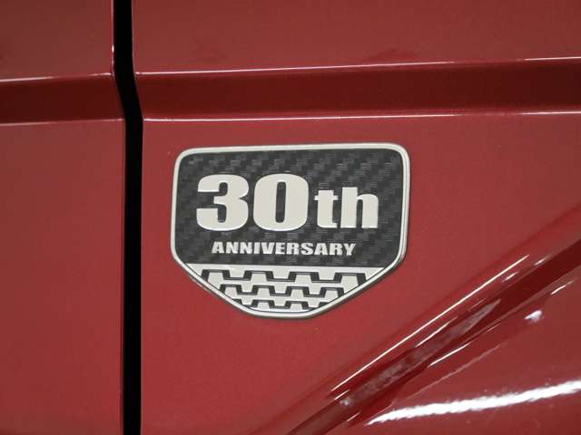 Toyota Land Cruiser 70 6