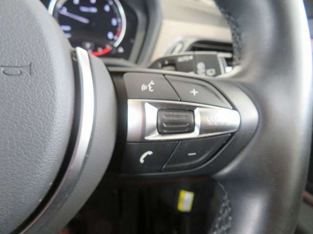 BMW X2 11