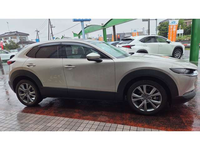 Mazda CX-30 6