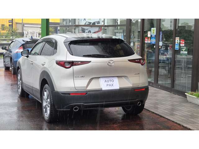 Mazda CX-30 10