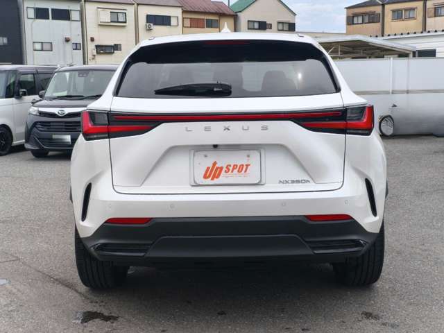 Lexus NX 11