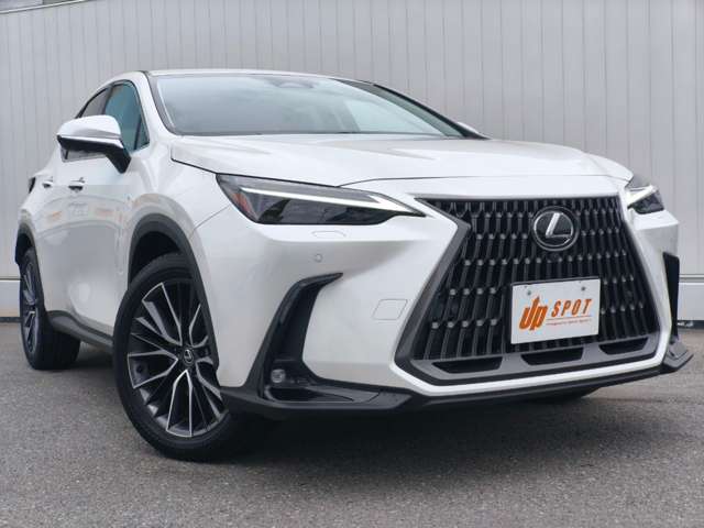 Lexus NX 6
