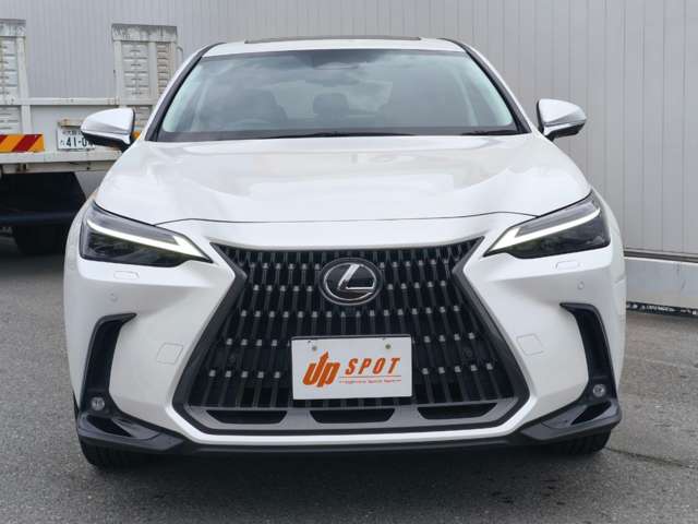 Lexus NX 7