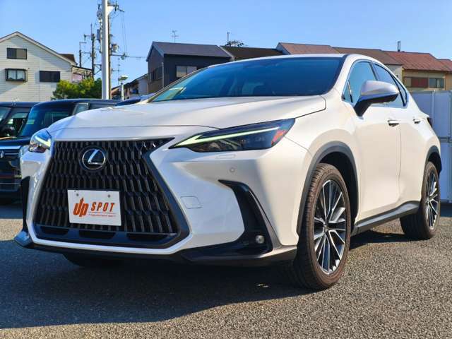 Lexus NX 8