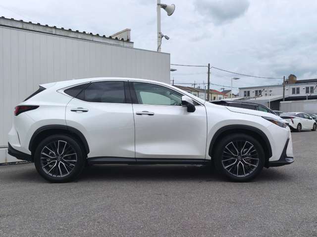 Lexus NX 10