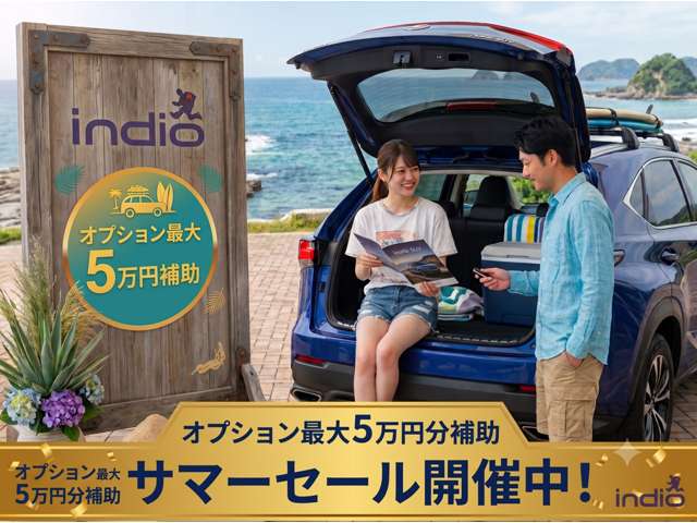 Toyota Pixis Van 2