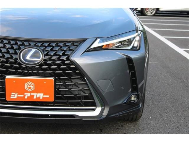 Lexus UX 11