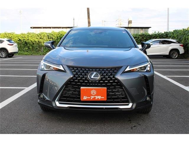 Lexus UX 9