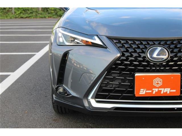 Lexus UX 10