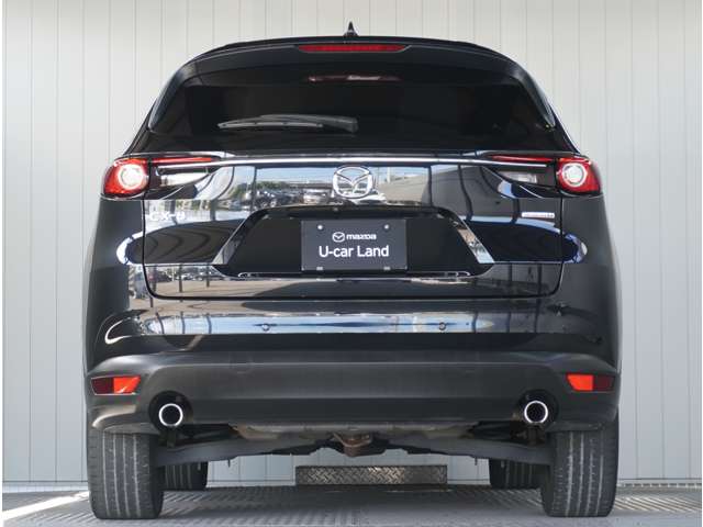 Mazda CX-8 12