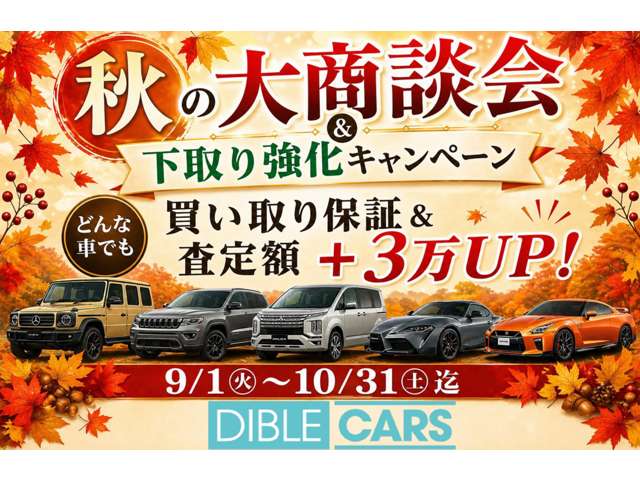 Toyota Hilux 3