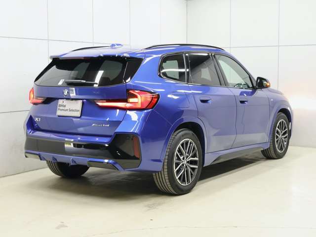 BMW X1 9