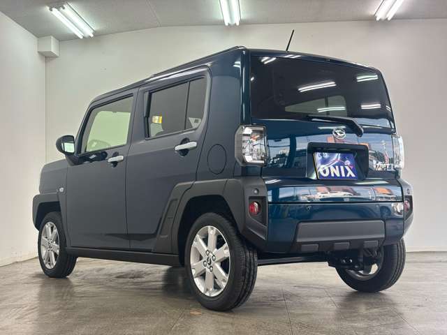 Daihatsu Taft 12