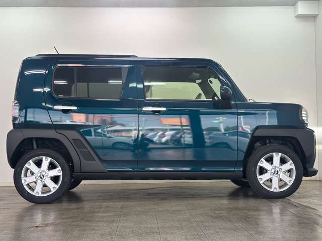 Daihatsu Taft 8