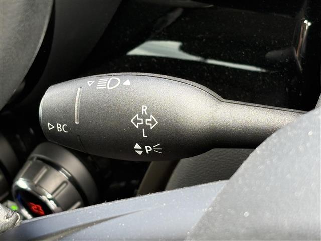 MINI Crossover 12
