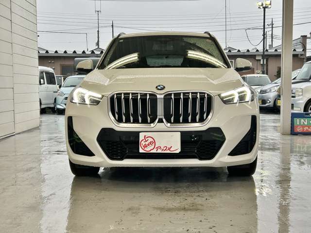 BMW X1 2