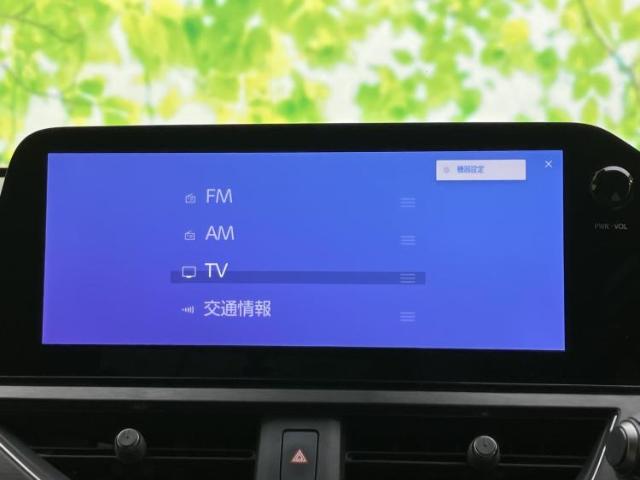 Lexus UX 11