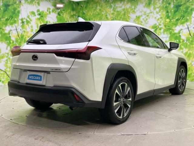 Lexus UX 6