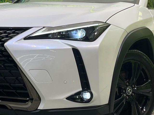 Lexus UX 12