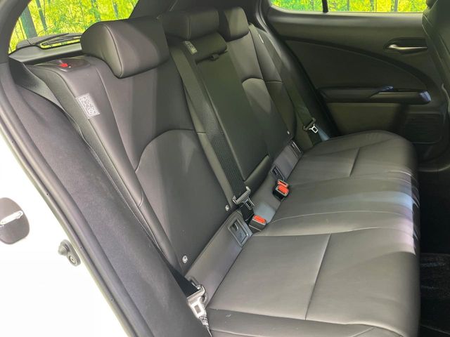 Lexus UX 9