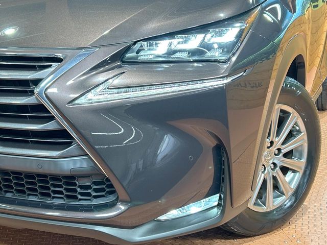 Lexus NX 12