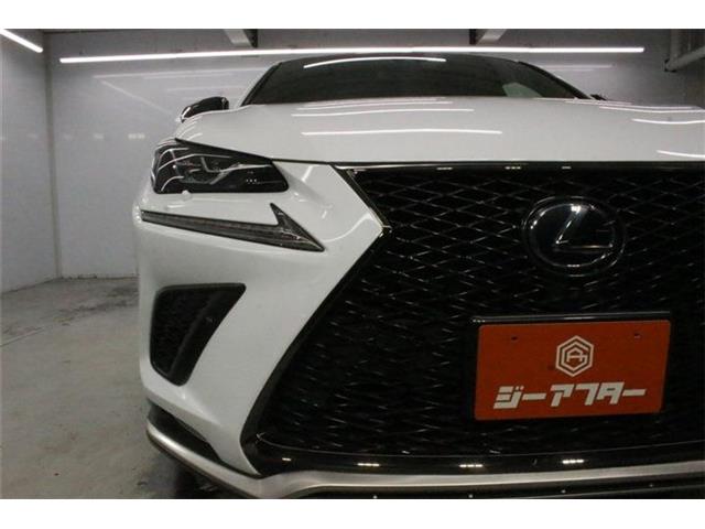 Lexus NX 12
