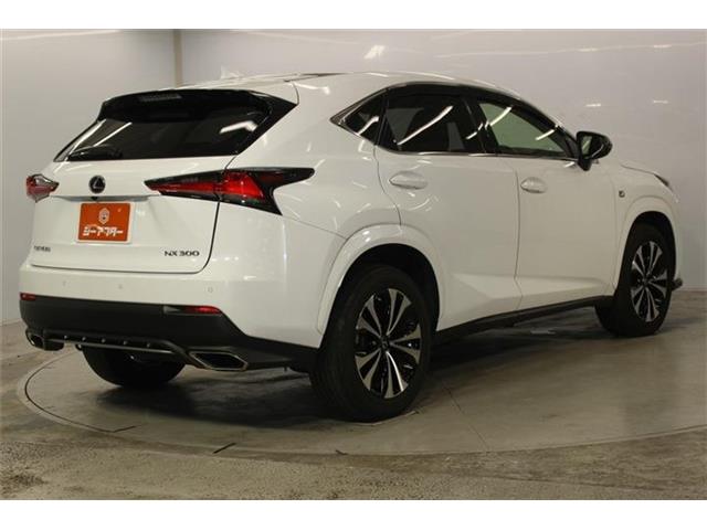 Lexus NX 6