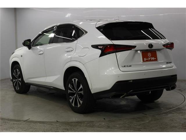 Lexus NX 8
