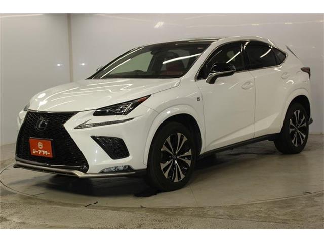Lexus NX 10
