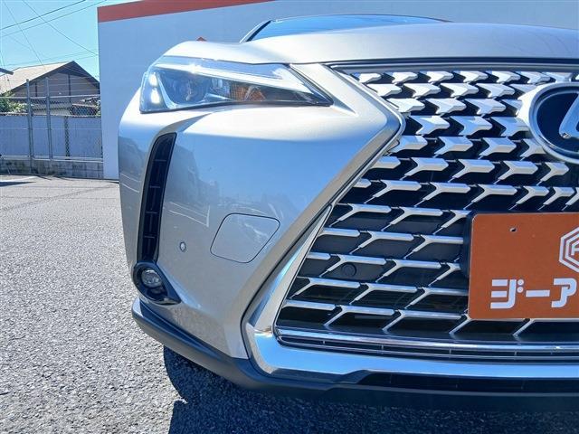 Lexus UX 11