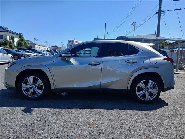 Lexus UX 9